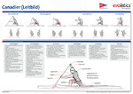 Lehrtafel Canadier-Technik Kanu-Rennsport